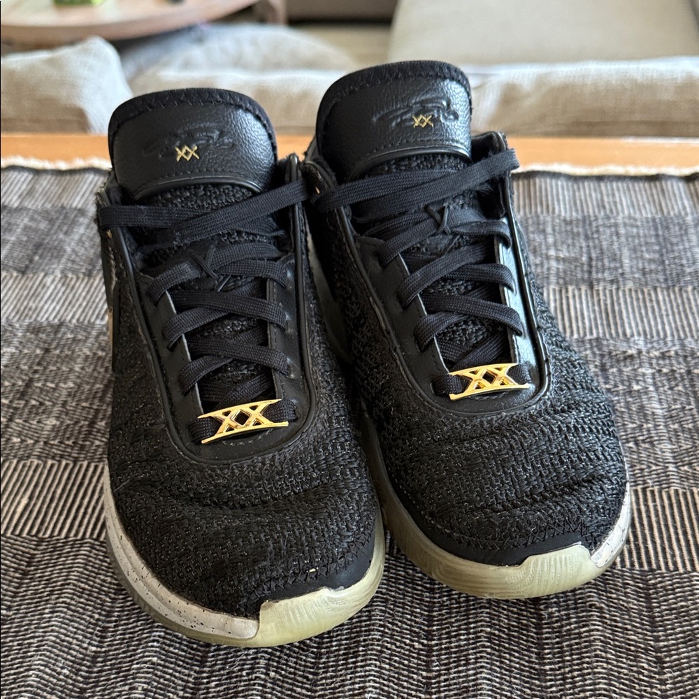 LeBron XX Sneakers